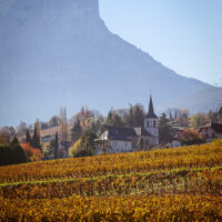 Apremont Jacquère - AOP Vin de Savoie Apremont - 2025