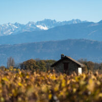 Apremont Jacquère - AOP Vin de Savoie Apremont - 2025