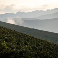 Apremont Jacquère - AOP Vin de Savoie Apremont - 2025