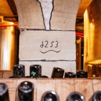 Pinot Noir W Langzug - 2023 - AOC Alsace