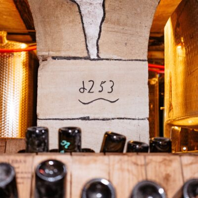 _DSC6125 Pinot Noir W Langzug - 2023 - AOC Alsace