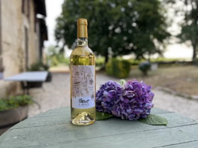 Sauvignon Gris - AOC Bordeaux Blanc - 2024