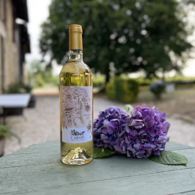 Sauvignon Gris - AOC Bordeaux Blanc - 2024