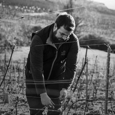 Montagny Les Macles Chardonnay - AOC Montagny - 2023