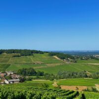 pic-parallaxe-terre-de-montagny-min Montagny Les Macles Chardonnay - AOC Montagny - 2023