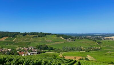 Montagny Les Macles Chardonnay - AOC Montagny - 2023