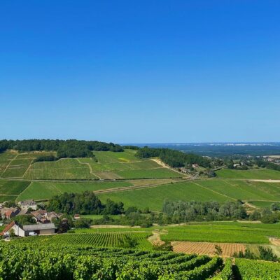 Montagny Les Macles Chardonnay - AOC Montagny - 2023