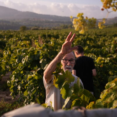 13-cavaguilera-verema-xarello-2025-caljoan Cava Guilera Brut Reserva - 2022
