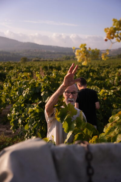 13-cavaguilera-verema-xarello-2025-caljoan Cava Guilera Brut Reserva - 2022