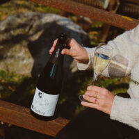 Cava Guilera Brut Reserva - 2022