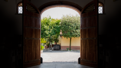 Cratere Rosso Lacryma Christi del Vesuvio DOC - 2024