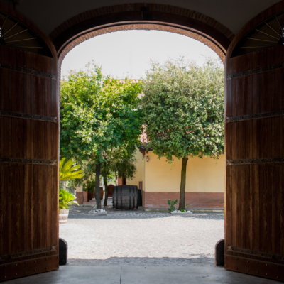 Cratere Rosso Lacryma Christi del Vesuvio DOC - 2024