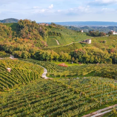 Valdobbiadene Prosecco Superiore DOCG 1930