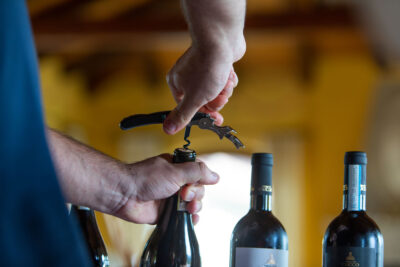 01207171_0 Barolo DOCG del comune di Serralunga d'Alba - 2020