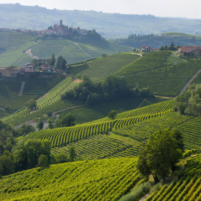 01207574_0 Barolo DOCG del comune di Serralunga d'Alba - 2020