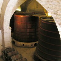 Mazzarosa Barrels Montepulciano d’Abruzzo Colline Teramane DOCG - 2024