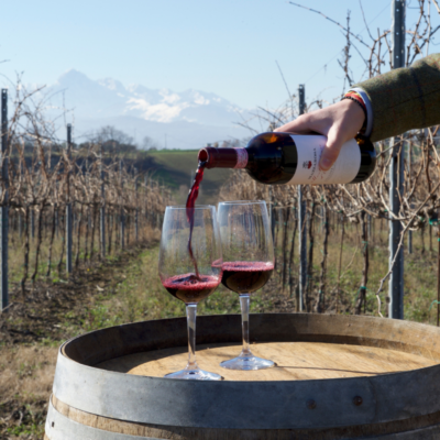 Montepulciano d’Abruzzo Colline Teramane DOCG - 2024