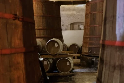 Montepulciano d’Abruzzo Colline Teramane DOCG - 2024