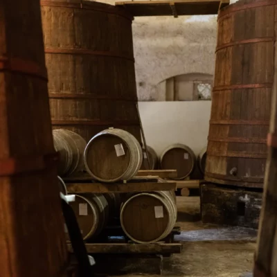 Montepulciano d’Abruzzo Colline Teramane DOCG - 2024