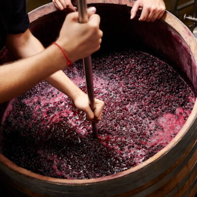 Montepulciano d’Abruzzo Colline Teramane DOCG - 2024
