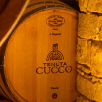 cover-cantina2_1 Barolo DOCG del comune di Serralunga d'Alba - 2020