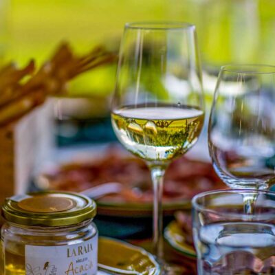 Gavi DOCG Pleo - 2025