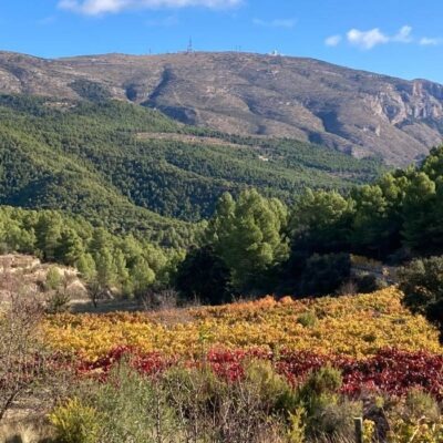 01-1920x700-1 Mas de Sella Selección - 2020