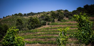 El Vol de l'Aliga - 2022 - Priorat DOQ